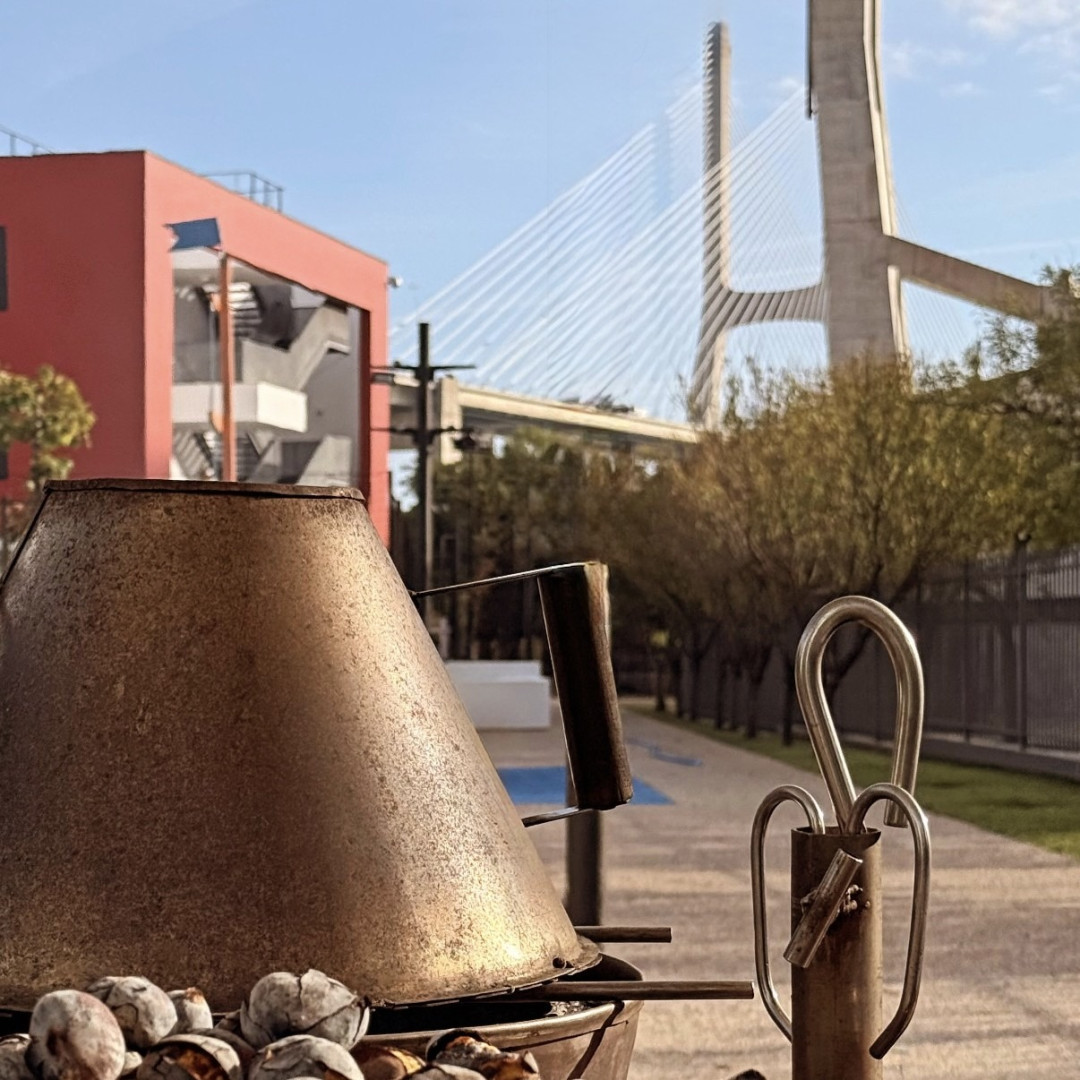 🌰São Martinho 2025🌰