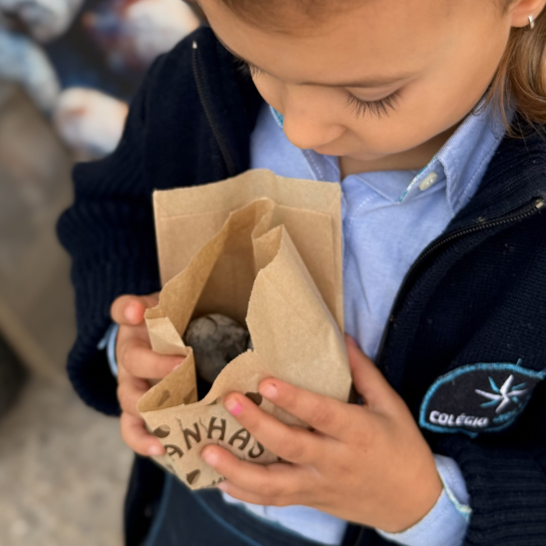 São Martinho 2025_3.jpeg