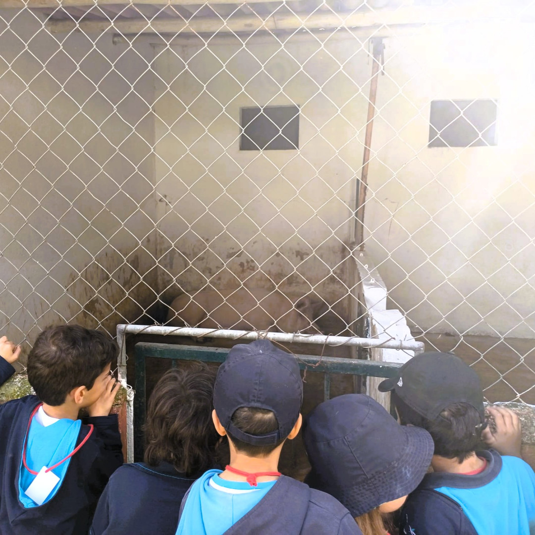 WhatsApp Image 2026-03-16 at 10.58.47 (1).jpeg