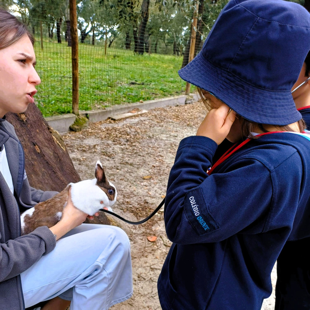 WhatsApp Image 2026-03-16 at 10.58.47.jpeg