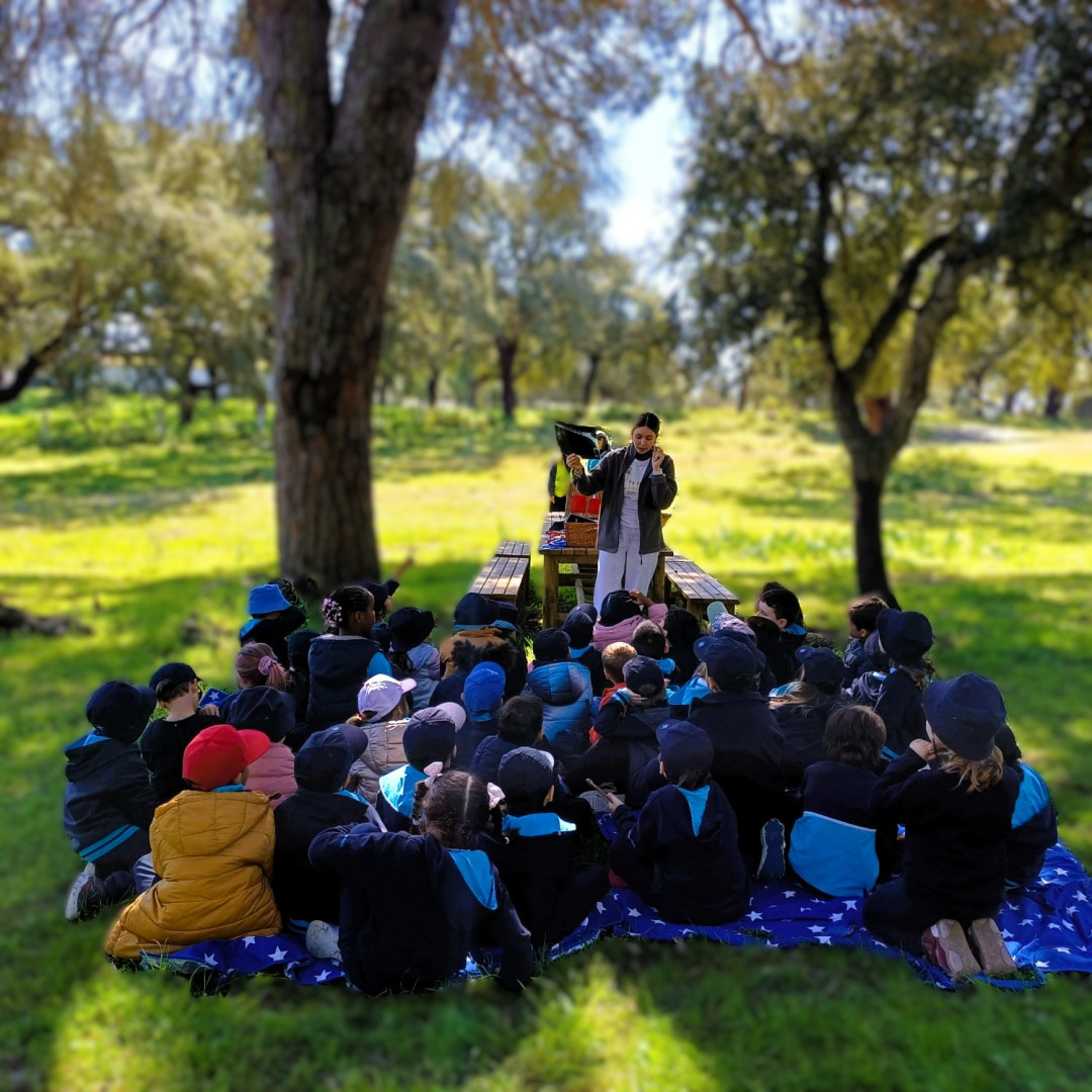 WhatsApp Image 2026-03-16 at 10.58.48 (2).jpeg