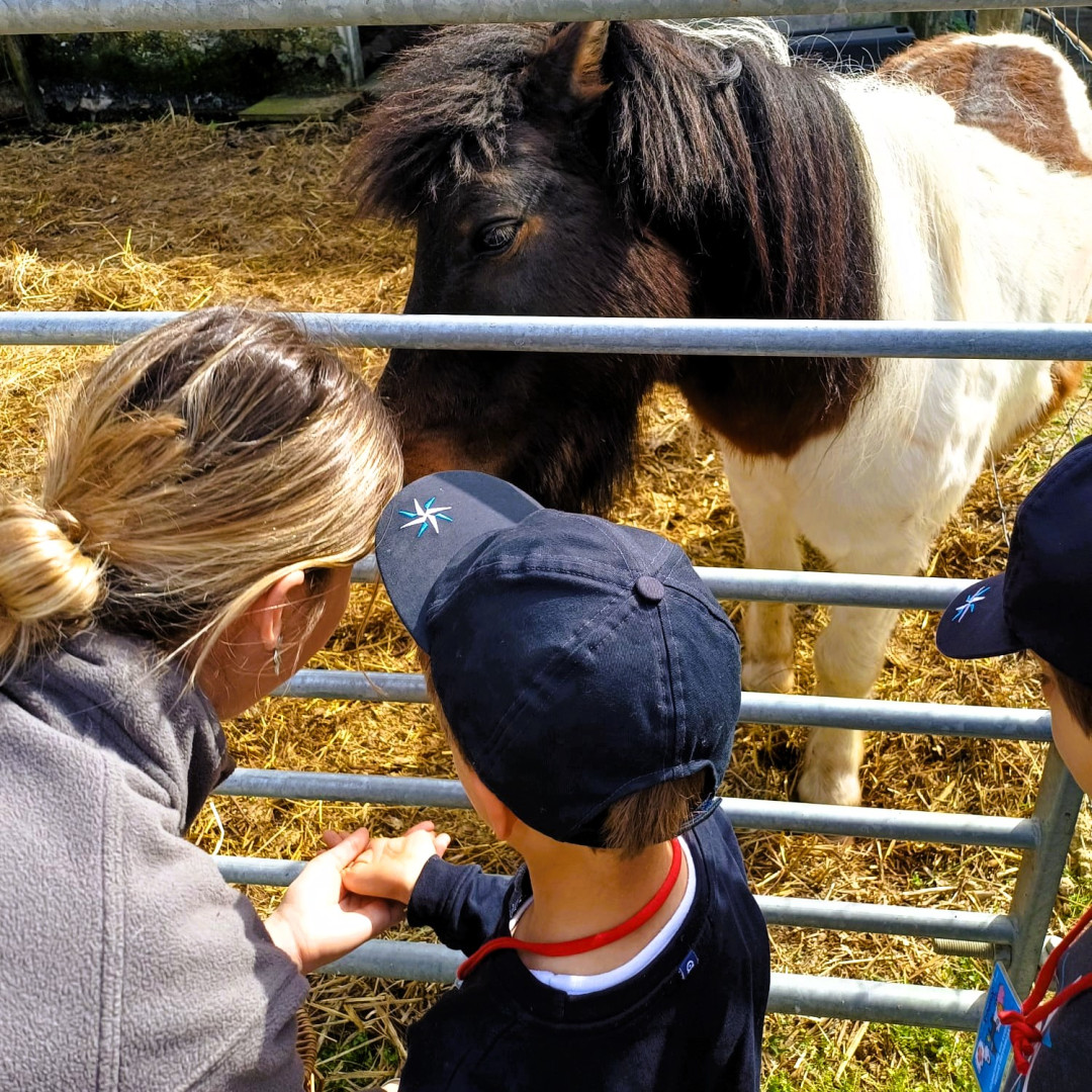 WhatsApp Image 2026-03-16 at 10.58.48.jpeg